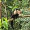 Monteverde House