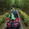 "DBAMBOO KAMP" Desa Wisata Ekang