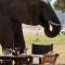 Msandile River Lodge