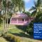 The Pink House