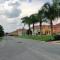 Paradise Palms 8952