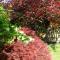 Foto: Ashcroft Gardens Bed & Breakfast 32/39