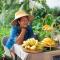 HOMA Cherngtalay Phuket HOMA Cherngtalay Phuket