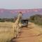 Cheetah View Lodge at Cheetah Conservation Fund