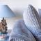Superb Cintra Beachside Apartments