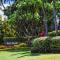 Kihei Akahi C109