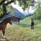 Au Pré des Chevaux