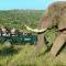 Kariega Game Reserve Main Lodge - Kenton on Sea