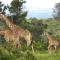 Kariega Game Reserve Main Lodge