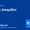 Les Jonquilles