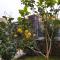 ROOMS alCentro