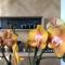 Kaai11 - Lofts & Suites with a view