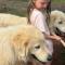 Country charm on acreage Country charm on acreage