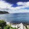 A Whale of a Time - Fish Hoek