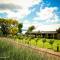 Surval Boutique Olive Estate