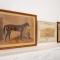Kuilfontein Stable Cottages