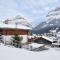 Holiday Home Chalet Reinhysi by Interhome
