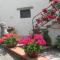 Affittacamere Casa Delle Rose