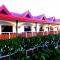 Oasis Resort and Spa