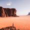 Wadi Rum Magic Stars