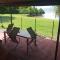 Raiatea Airport Bungalow