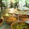 Vihanga Village - Jungle retreat in Dambulla