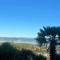 Citrus Grove Citrus Grove
