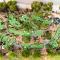 Berri Riverside Holiday Park