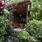 The Asri Villas