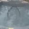 Milkwood Safari Lodge