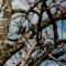Riverbed Africa