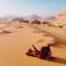 Milky Way Bedouin Camp