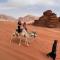 Milky Way Bedouin Camp