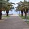 Corail Azur Terre Sainte