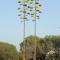 Carloforte Palme House