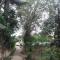 Disna Place