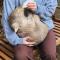 Fauna Australia Wildlife Experience