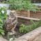 Kaalvoet Self-Catering Apartments