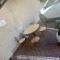 The Tipsy Expat - Paarl - Self Catering Apartment The Tipsy Expat - Paarl - Self Catering Apartment