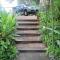 Foto: Mossman Gorge Bed and Breakfast 31/61