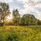 Ibis Budget Singen