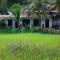 Paddy Field View Resort