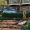 The Backyard Glamping Cameron Highlands