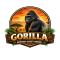 Gorilla African Guest House