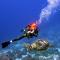 Mi Refugio Dive House