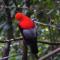 Natural Luxury Birding Lodge