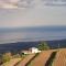 Tenuta Kiwi dell’Etna
