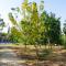 Bait Alfa Kibbutz Country Lodging
