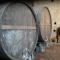 Tenuta Kiwi dell’Etna