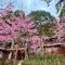 Da Kuan Peach Farm Resort 達觀農場民宿